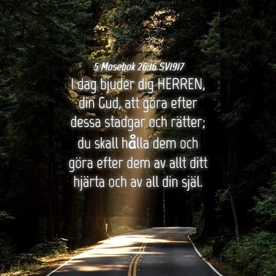 Picture 04 - 5 Mosebok 26:16 SV1917 - I dag bjuder dig HERREN, din Gud, att göra efter - Bible Verse Picture
