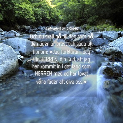 Picture 04 - 5 Mosebok 26:3 SV1917 - Och du skall gå till den som på den tiden är - Bible Verse Picture
