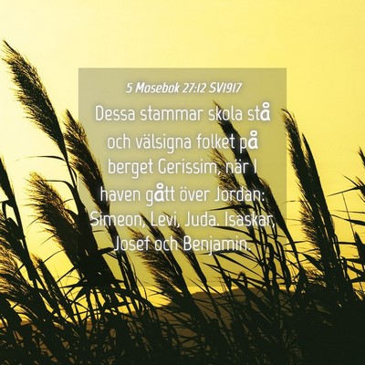 Picture 04 - 5 Mosebok 27:12 SV1917 - Dessa stammar skola stå och välsigna folket på - Bible Verse Picture