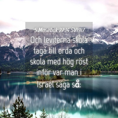 Picture 04 - 5 Mosebok 27:14 SV1917 - Och leviterna skola taga till orda och skola med - Bible Verse Picture