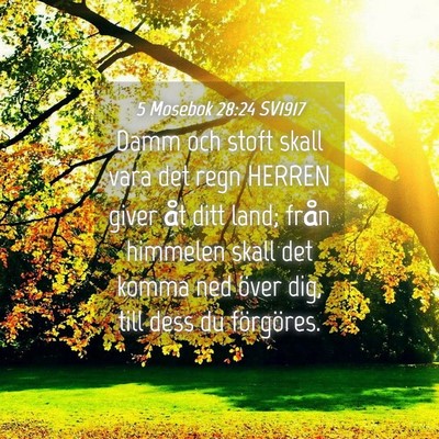 Picture 04 - 5 Mosebok 28:24 SV1917 - Damm och stoft skall vara det regn HERREN giver - Bible Verse Picture