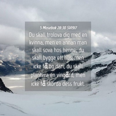 Picture 04 - 5 Mosebok 28:30 SV1917 - Du skall trolova dig med en kvinna, men en annan - Bible Verse Picture