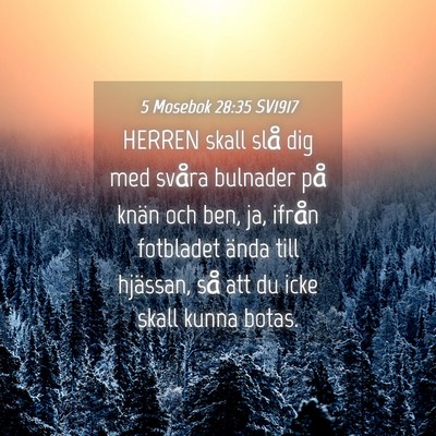 Picture 04 - 5 Mosebok 28:35 SV1917 - HERREN skall slå dig med svåra bulnader på - Bible Verse Picture