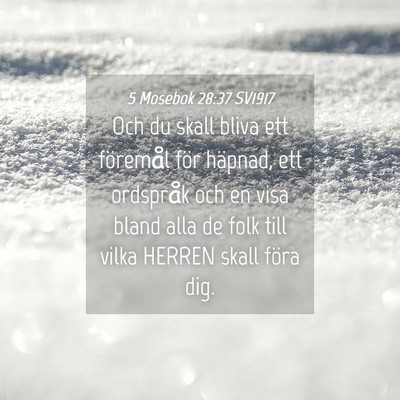 Picture 04 - 5 Mosebok 28:37 SV1917 - Och du skall bliva ett föremål för häpnad, - Bible Verse Picture