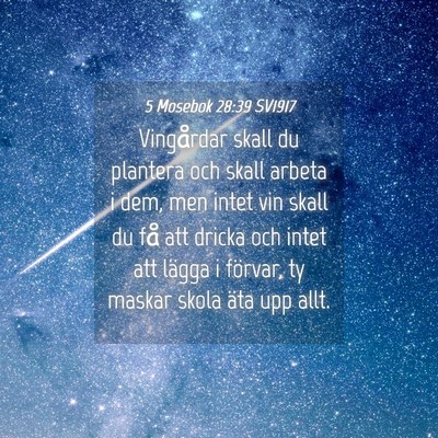 Picture 04 - 5 Mosebok 28:39 SV1917 - Vingårdar skall du plantera och skall arbeta i - Bible Verse Picture