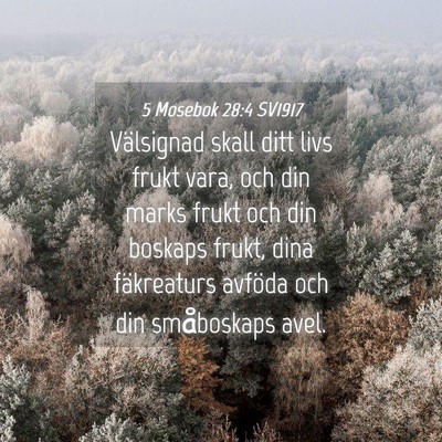 Picture 04 - 5 Mosebok 28:4 SV1917 - Välsignad skall ditt livs frukt vara, och din - Bible Verse Picture