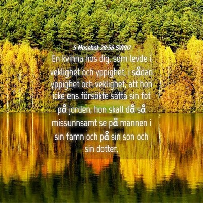 Picture 04 - 5 Mosebok 28:56 SV1917 - En kvinna hos dig, som levde i veklighet och - Bible Verse Picture