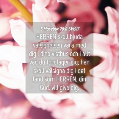 Picture 04 - 5 Mosebok 28:8 SV1917 - HERREN skall bjuda välsignelsen vara med dig i - Bible Verse Picture