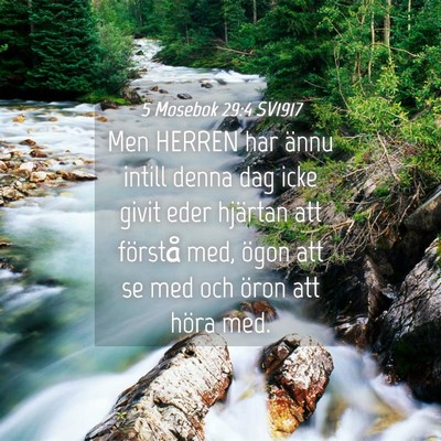 Picture 04 - 5 Mosebok 29:4 SV1917 - Men HERREN har ännu intill denna dag icke givit - Bible Verse Picture