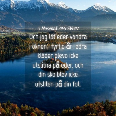Picture 04 - 5 Mosebok 29:5 SV1917 - Och jag lät eder vandra i öknen i fyrtio år; - Bible Verse Picture