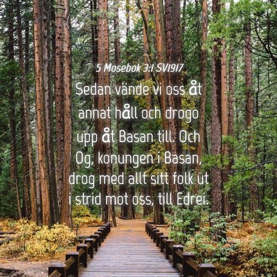 Picture 04 - 5 Mosebok 3:1 SV1917 - Sedan vände vi oss åt annat håll och drogo upp - Bible Verse Picture
