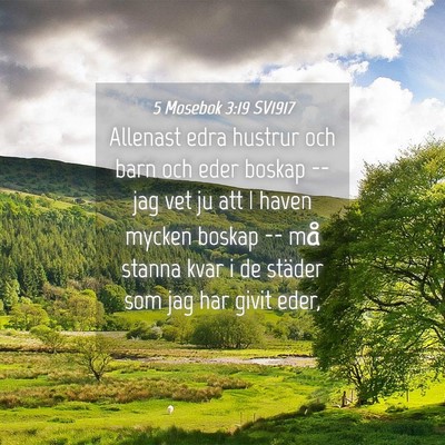 Picture 04 - 5 Mosebok 3:19 SV1917 - Allenast edra hustrur och barn och eder boskap -- - Bible Verse Picture