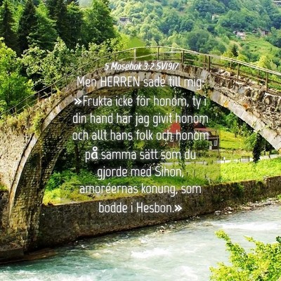 Picture 04 - 5 Mosebok 3:2 SV1917 - Men HERREN sade till mig: »Frukta icke för - Bible Verse Picture