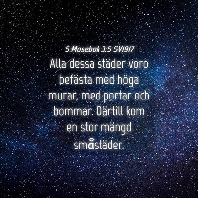 Picture 04 - 5 Mosebok 3:5 SV1917 - Alla dessa städer voro befästa med höga murar, - Bible Verse Picture