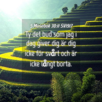 Picture 04 - 5 Mosebok 30:11 SV1917 - Ty det bud som jag i dag giver dig är dig icke - Bible Verse Picture