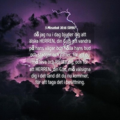 Picture 04 - 5 Mosebok 30:16 SV1917 - då jag nu i dag bjuder dig att älska HERREN, - Bible Verse Picture