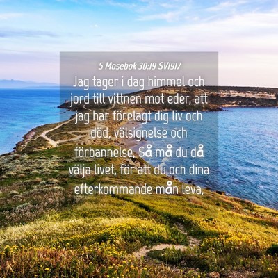 Picture 04 - 5 Mosebok 30:19 SV1917 - Jag tager i dag himmel och jord till vittnen mot - Bible Verse Picture