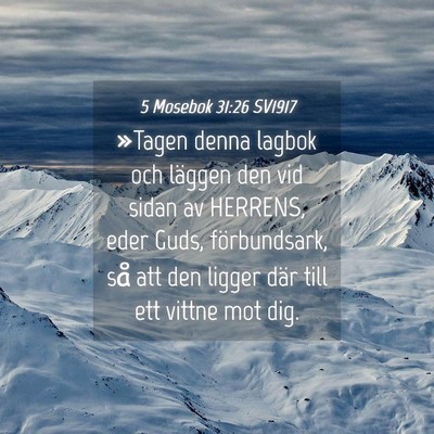 Picture 04 - 5 Mosebok 31:26 SV1917 - »Tagen denna lagbok och läggen den vid sidan av - Bible Verse Picture