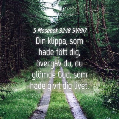 Picture 04 - 5 Mosebok 32:18 SV1917 - Din klippa, som hade fött dig, övergav du, du - Bible Verse Picture