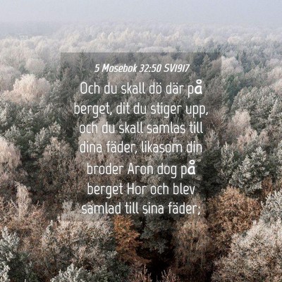 Picture 04 - 5 Mosebok 32:50 SV1917 - Och du skall dö där på berget, dit du stiger - Bible Verse Picture