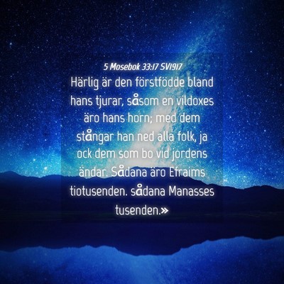 Picture 04 - 5 Mosebok 33:17 SV1917 - Härlig är den förstfödde bland hans tjurar, - Bible Verse Picture