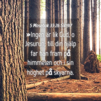Picture 04 - 5 Mosebok 33:26 SV1917 - »Ingen är lik Gud, o Jesurun; till din hjälp - Bible Verse Picture