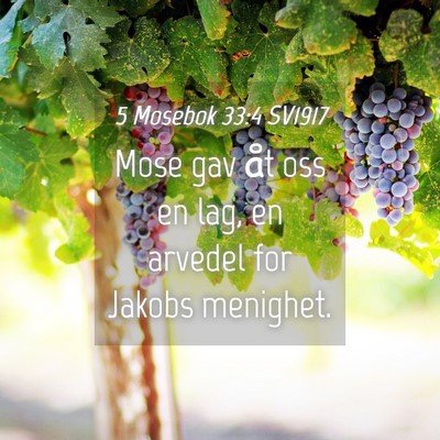 Picture 04 - 5 Mosebok 33:4 SV1917 - Mose gav åt oss en lag, en arvedel for Jakobs - Bible Verse Picture