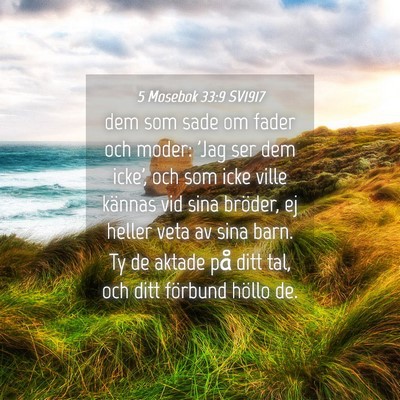 Picture 04 - 5 Mosebok 33:9 SV1917 - dem som sade om fader och moder: 'Jag ser dem - Bible Verse Picture