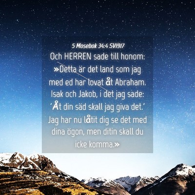 Picture 04 - 5 Mosebok 34:4 SV1917 - Och HERREN sade till honom: »Detta är det land - Bible Verse Picture