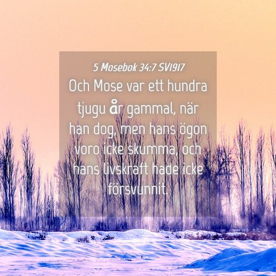 Picture 04 - 5 Mosebok 34:7 SV1917 - Och Mose var ett hundra tjugu år gammal, när - Bible Verse Picture