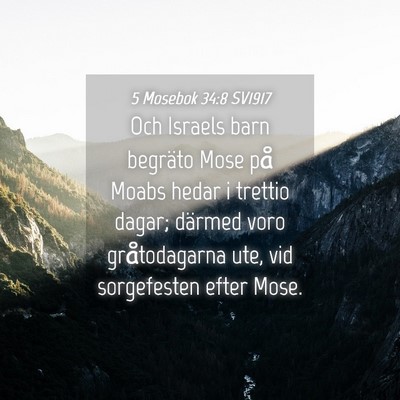 Picture 04 - 5 Mosebok 34:8 SV1917 - Och Israels barn begräto Mose på Moabs hedar i - Bible Verse Picture