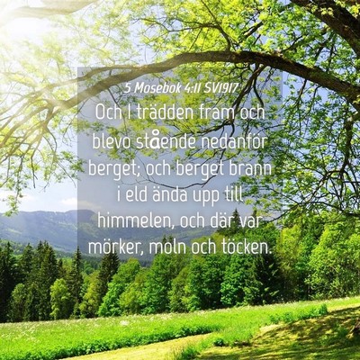 Picture 04 - 5 Mosebok 4:11 SV1917 - Och I trädden fram och blevo stående nedanför - Bible Verse Picture