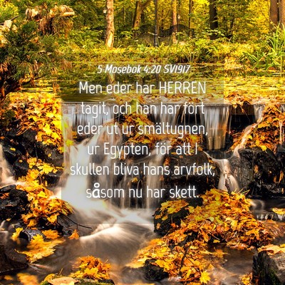 Picture 04 - 5 Mosebok 4:20 SV1917 - Men eder har HERREN tagit, och han har fört eder - Bible Verse Picture