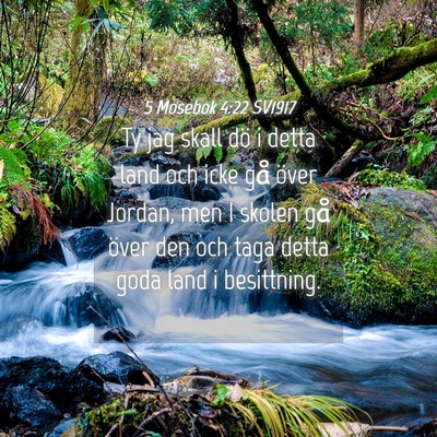 Picture 04 - 5 Mosebok 4:22 SV1917 - Ty jag skall dö i detta land och icke gå över - Bible Verse Picture