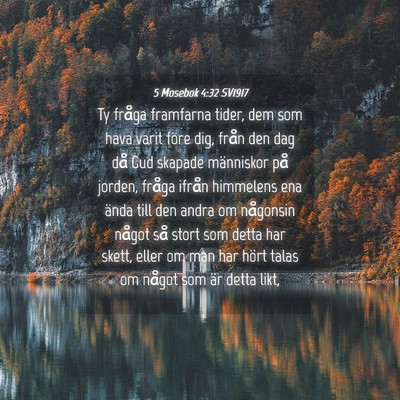 Picture 04 - 5 Mosebok 4:32 SV1917 - Ty fråga framfarna tider, dem som hava varit - Bible Verse Picture