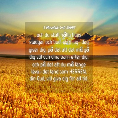 Picture 04 - 5 Mosebok 4:40 SV1917 - och du skall hålla hans stadgar och bud, som jag - Bible Verse Picture