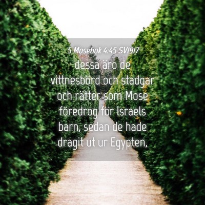 Picture 04 - 5 Mosebok 4:45 SV1917 - dessa äro de vittnesbörd och stadgar och - Bible Verse Picture