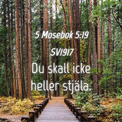 Picture 04 - 5 Mosebok 5:19 SV1917 - Du skall icke heller - Bible Verse Picture