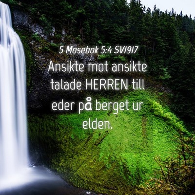 Picture 04 - 5 Mosebok 5:4 SV1917 - Ansikte mot ansikte talade HERREN till eder på - Bible Verse Picture