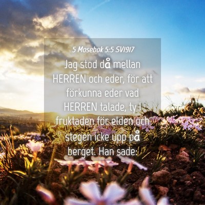 Picture 04 - 5 Mosebok 5:5 SV1917 - Jag stod då mellan HERREN och eder, för att - Bible Verse Picture