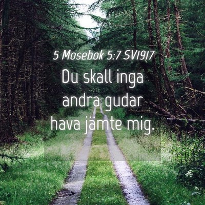 Picture 04 - 5 Mosebok 5:7 SV1917 - Du skall inga andra gudar hava jämte - Bible Verse Picture
