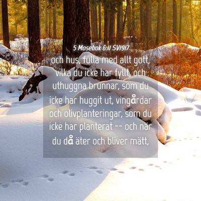 Picture 04 - 5 Mosebok 6:11 SV1917 - och hus, fulla med allt gott, vilka du icke har - Bible Verse Picture