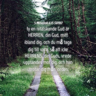 Picture 04 - 5 Mosebok 6:15 SV1917 - ty en nitälskande Gud är HERREN, din Gud, mitt - Bible Verse Picture