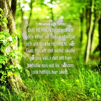 Picture 04 - 5 Mosebok 6:24 SV1917 - Och HERREN bjöd oss att göra efter all dessa - Bible Verse Picture