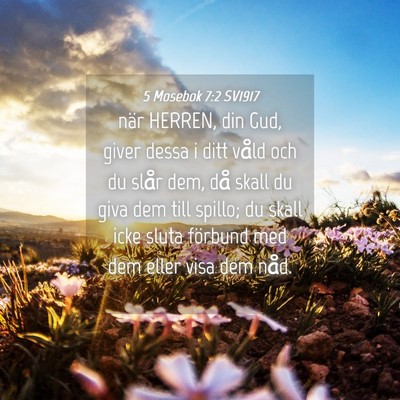 Picture 04 - 5 Mosebok 7:2 SV1917 - när HERREN, din Gud, giver dessa i ditt våld - Bible Verse Picture