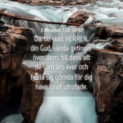 Picture 04 - 5 Mosebok 7:20 SV1917 - Därtill skall HERREN, din Gud, sända getingar - Bible Verse Picture