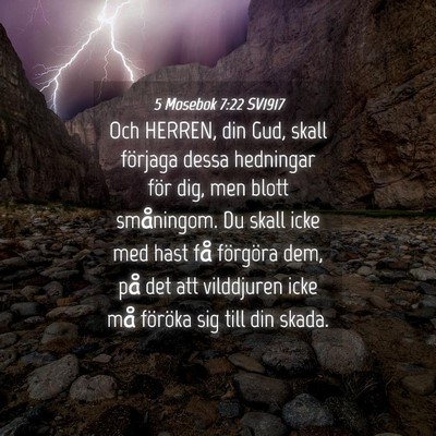 Picture 04 - 5 Mosebok 7:22 SV1917 - Och HERREN, din Gud, skall förjaga dessa - Bible Verse Picture