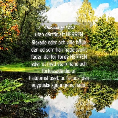 Picture 04 - 5 Mosebok 7:8 SV1917 - utan därför att HERREN älskade eder och ville - Bible Verse Picture