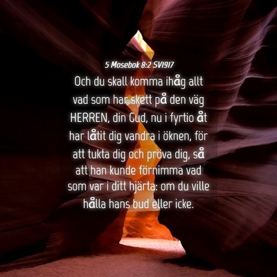 Picture 04 - 5 Mosebok 8:2 SV1917 - Och du skall komma ihåg allt vad som har skett - Bible Verse Picture