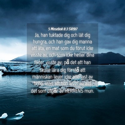 Picture 04 - 5 Mosebok 8:3 SV1917 - Ja, han tuktade dig och lät dig hungra, och han - Bible Verse Picture